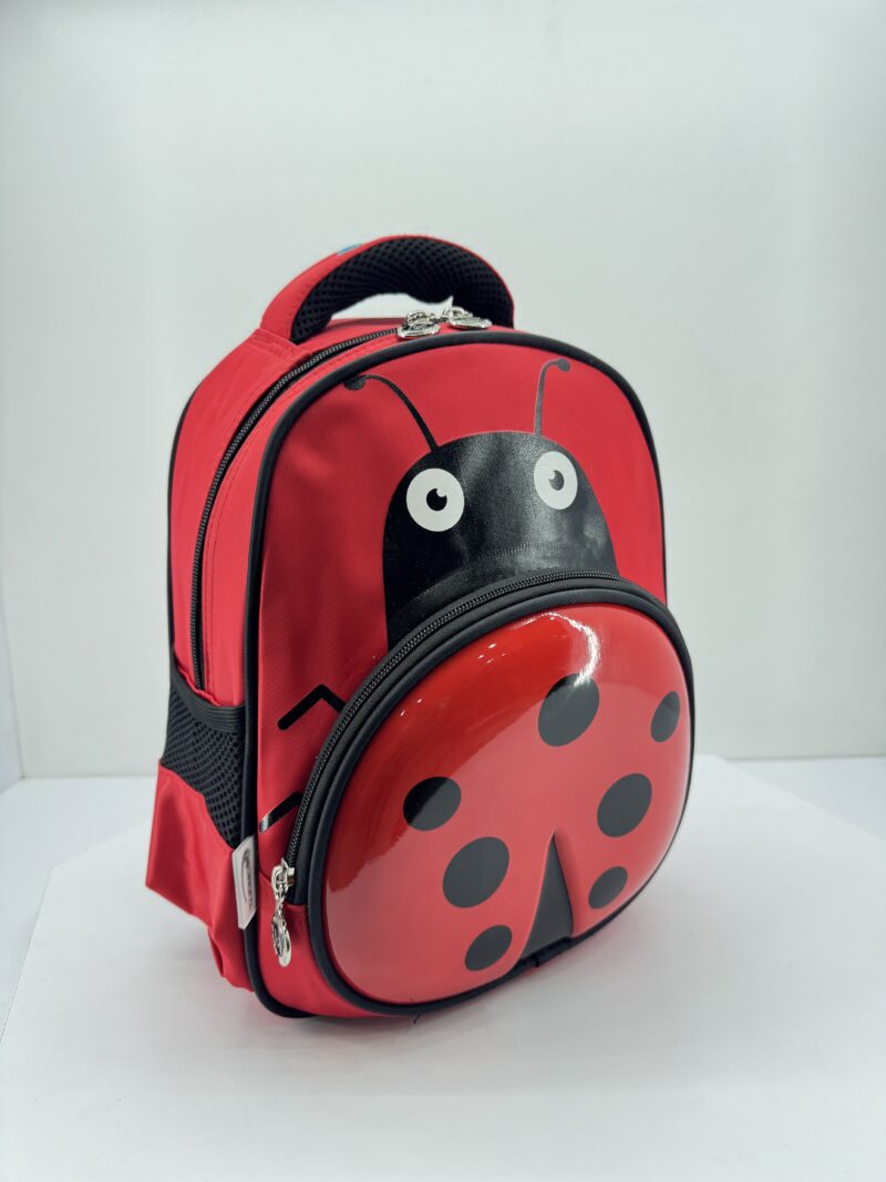 ladybug
